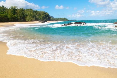 Kapaa Shore C324 - image 4