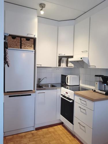 kuhinja, Apartment Snowflake in Ahkiomaa