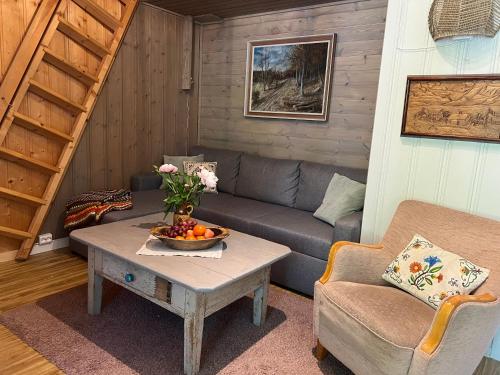 Newly renovated cabin near Ål city center, mountains & ski resort (Newly renovated cabin near Al city center, mountains & ski resort) in Ål
