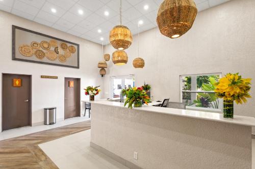 Lobby, Bananas On The Beach in San Pedro