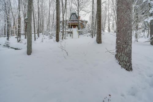 Waterfront Nelson Lake Cabin w/ Boat Dock! - Tap to explore photos