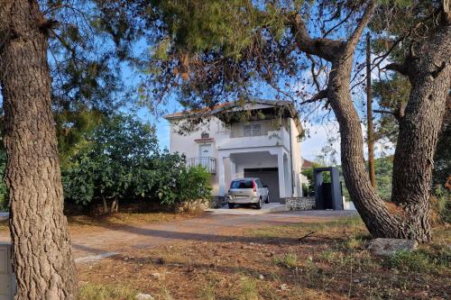 Apartments with a parking space Okrug Donji Ciovo - 16276