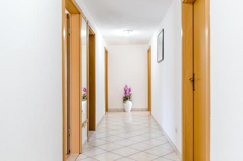 Apartment with Terrace and Sea View image 1