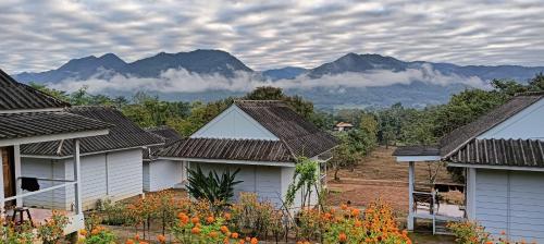 Pai sunrise camping resort near パムボックウォーターフォール