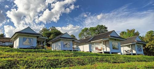 ガーデン, Pai sunrise camping resort near パムボックウォーターフォール