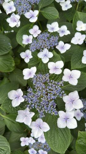 Paulina y Emma - confortable apartamento