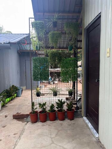 Garden, JAI Guesthouse by Honda Bay Rm 3 near Lu-Li Island