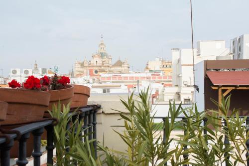 Hotel Plaza - image 6