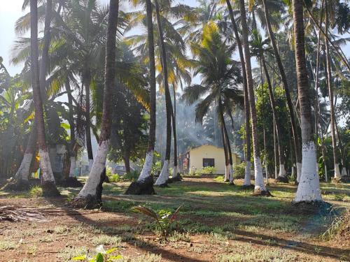 Savita Farmhouse - image 4