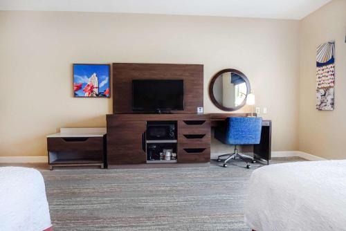 Hampton Inn Baton Rouge - Denham Springs - image 6