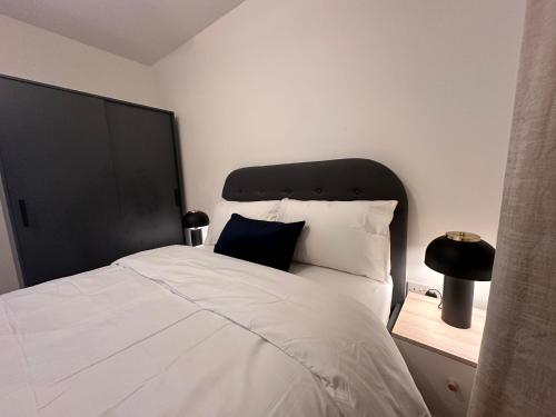 Centrally Located Modern 2 Bedroom Apartment, Minutes Walk to AO Arena, Manchester