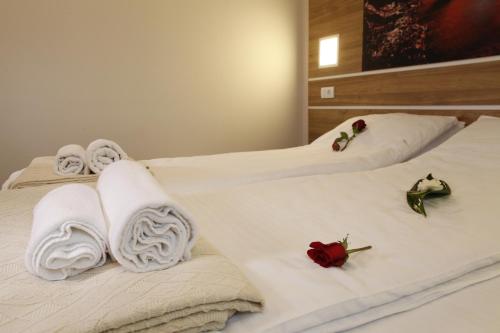 Guest House Vida