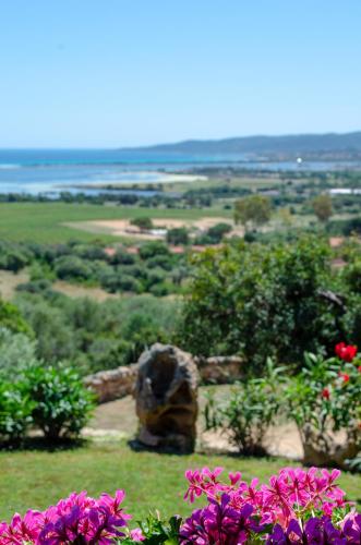 La Minditta - San Teodoro