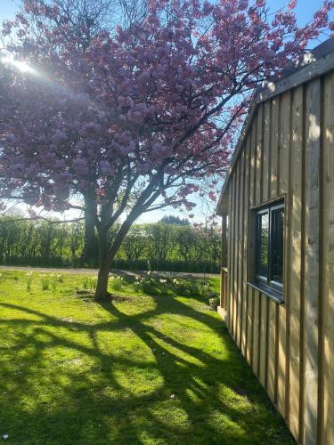 Meadows Lodge, York (fotografie 9)