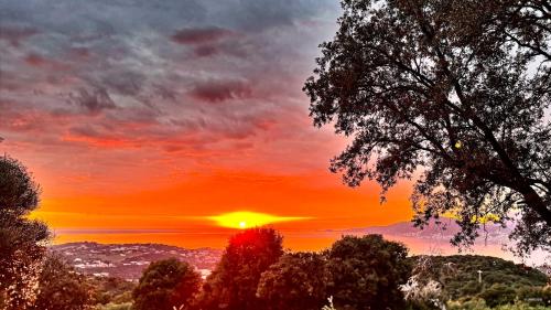 Authentique Casellu en pierre à Porticcio avec vue sur la mer (Authentique Casellu en pierre a Porticcio avec vue sur la mer) in 格罗塞托布吕尼亚