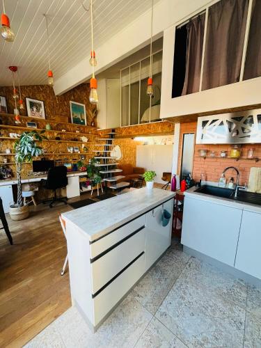 Le Nid - Duplex atypique avec vue sur les toits, Bordeaux (photo 5)