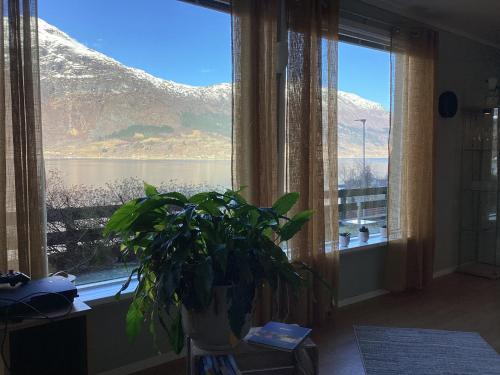 Fjordview 35 in ลอฟทุส