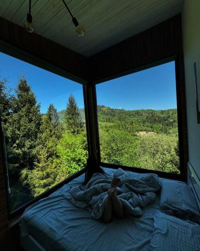 Forest Hub, Slavske (foto 6)