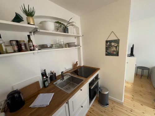 Kattesundet Apartments Best Location in Copenhagen 4