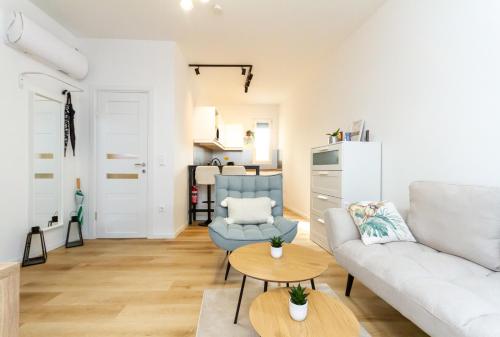 Premium Buda Apartment in a Historic Setting, Budapešť