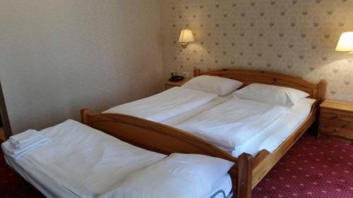 Pension Walzerstadt - image 14