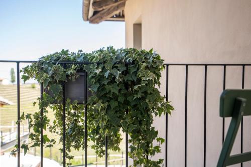 Agriturismo Rivella - image 5