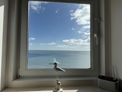 White Cliffs, Seaton (foto 8)