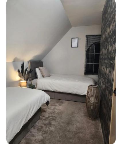 Adult only , meadow escape in 庫克斯敦