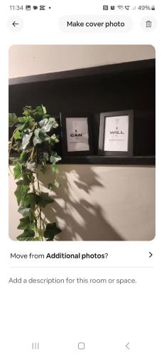 Adult only , meadow escape in 庫克斯敦