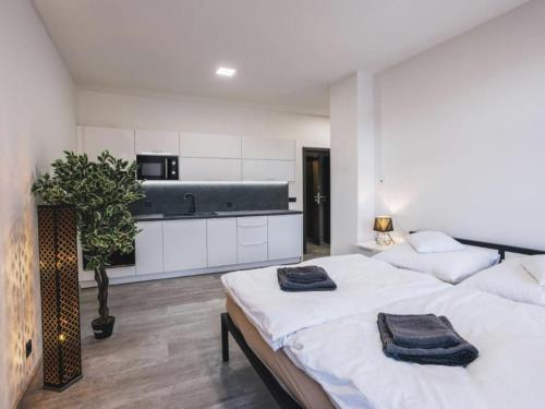 Apartment Historic Centre-1 by Interhome in จินดริชูฟ ฮราเดค