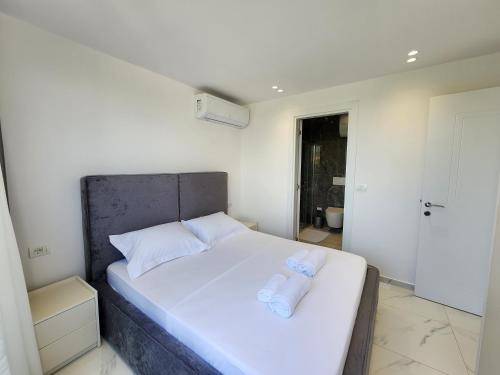 Penthouse with a city view, Tirana (photo 10)