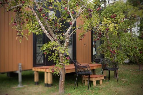 Applewood Cabin 2 by Tiny Away in هيروود