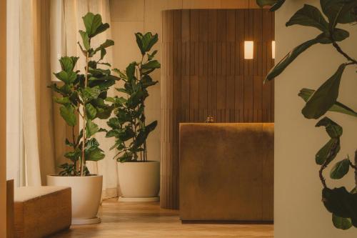 Hotel Regina Barcelona, Barcelona (fotografie 8)