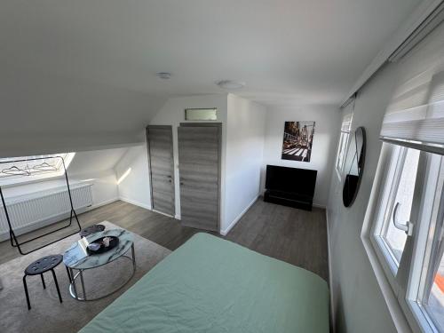 Qozyroom, Bruxelles