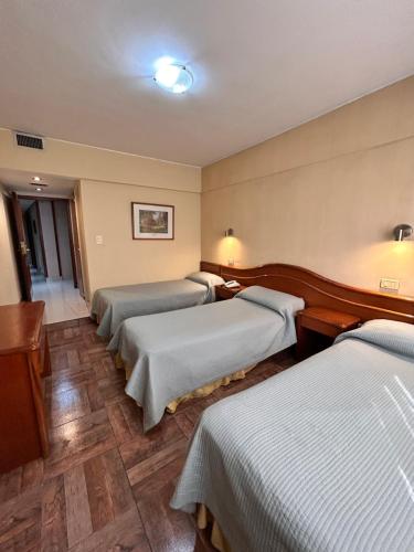 Hotel Luey, Буэнос-Айрес (фото 6)