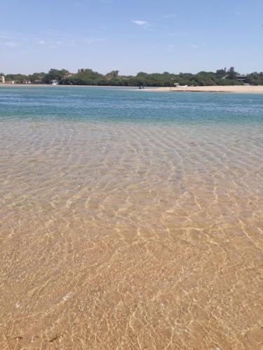 Florecita 2 in Sintian