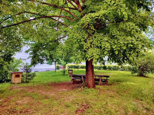 University Hotel - image 6