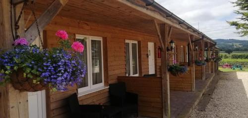 The Flying Fish Stables