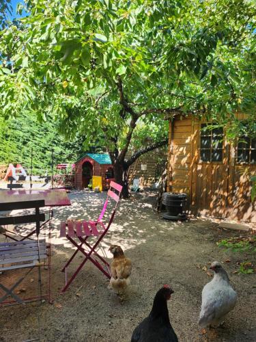 Appartement indépendant avec extérieur entre Aix-en-Provence et Marseille - Location saisonnière - Bouc-Bel-Air