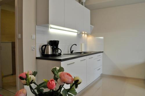 Prestige Apartment (4 Adults) - ul. Orzeszkowej 6 image 9