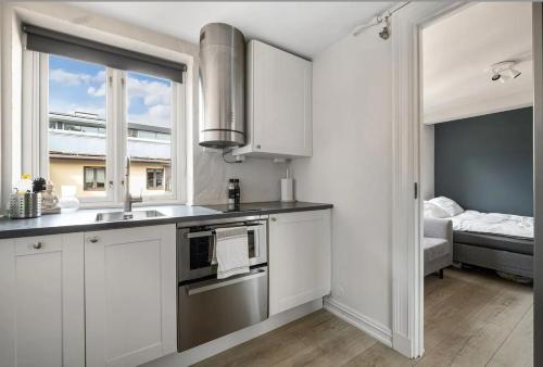Penthouse by the Royal Park, Oslo