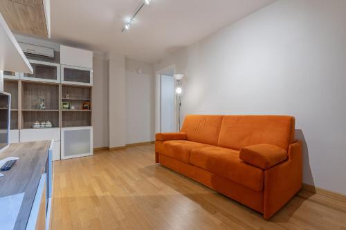 One-Bedroom Apartment image 7