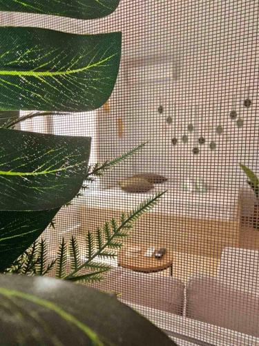 Happy Studio in Drama