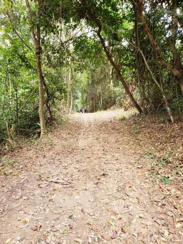 FAZENDA BOSQUE DAs PALMEIRAS