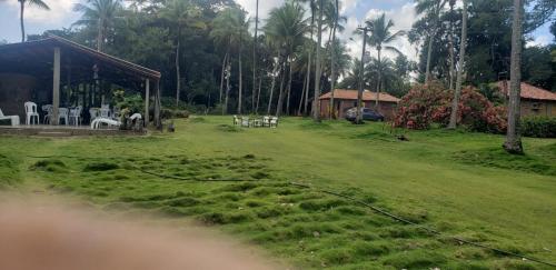 FAZENDA BOSQUE DAs PALMEIRAS in Itambaraca