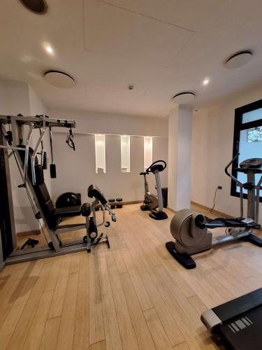 Sure Hotel by Best Western Milano - 피트니스 센터