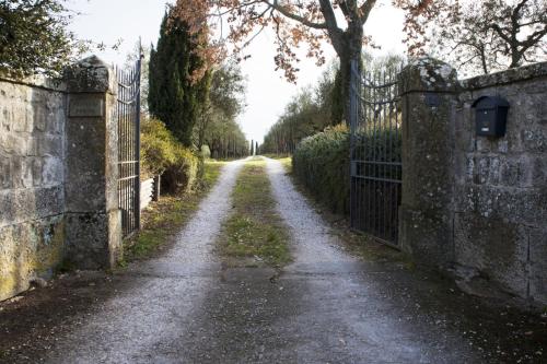 Le piagge della sala - Location saisonnière - Bullicame