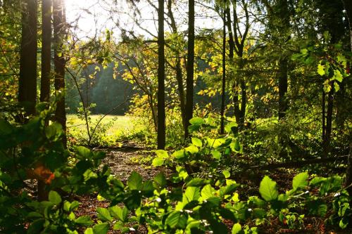 สภาพแวดล้อมโดยรอบ, Het Mergelhoek 1 - Parterre in วาลซ์