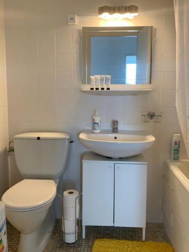 Beautiful 1-Bed Apartment near Palexpo, UN Agencies & Diplomatic Missions, Genewa (zdjęcie 7)