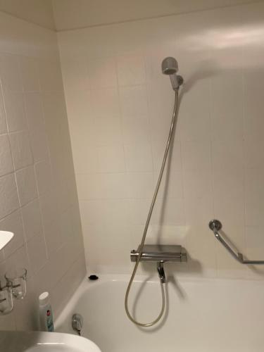 Beautiful 1-Bed Apartment near Palexpo, UN Agencies & Diplomatic Missions, Genewa (zdjęcie 8)